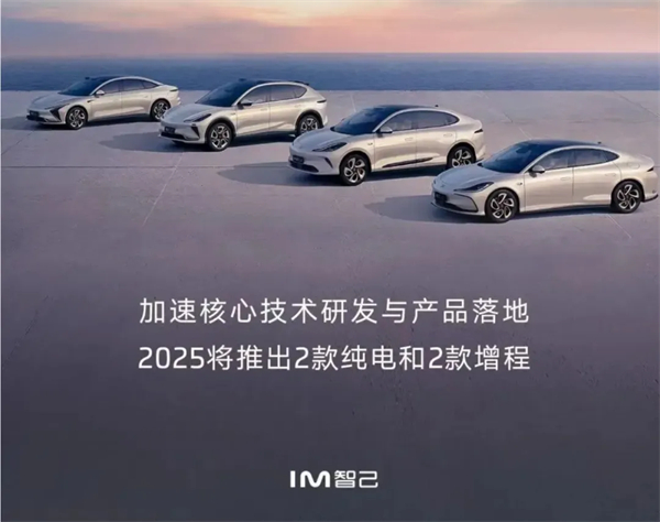千帆竞发，勇进者胜—mksport体育打响2025全面深化改革第一枪