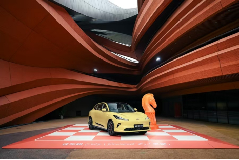 2025年强势开局：mksport体育的转型密码与跃迁之道